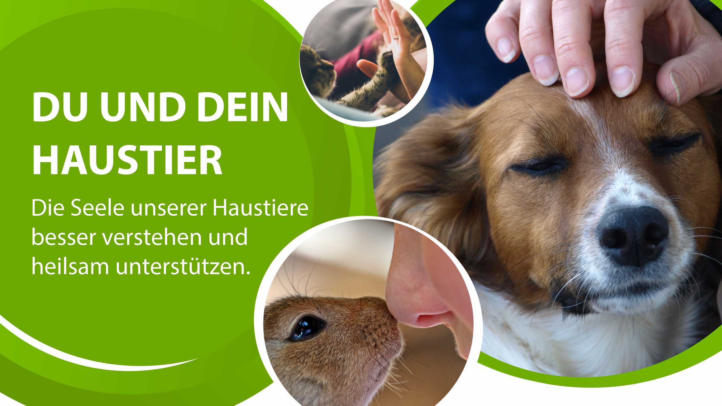 Du und Dein Haustier